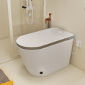 Luxury Smart Toilet with Automatic Soft Close Seat Heating S-Trap