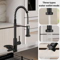 Premium Glass Rinse Station & Stainless Steel Pull Out Spray Kitchen Faucet