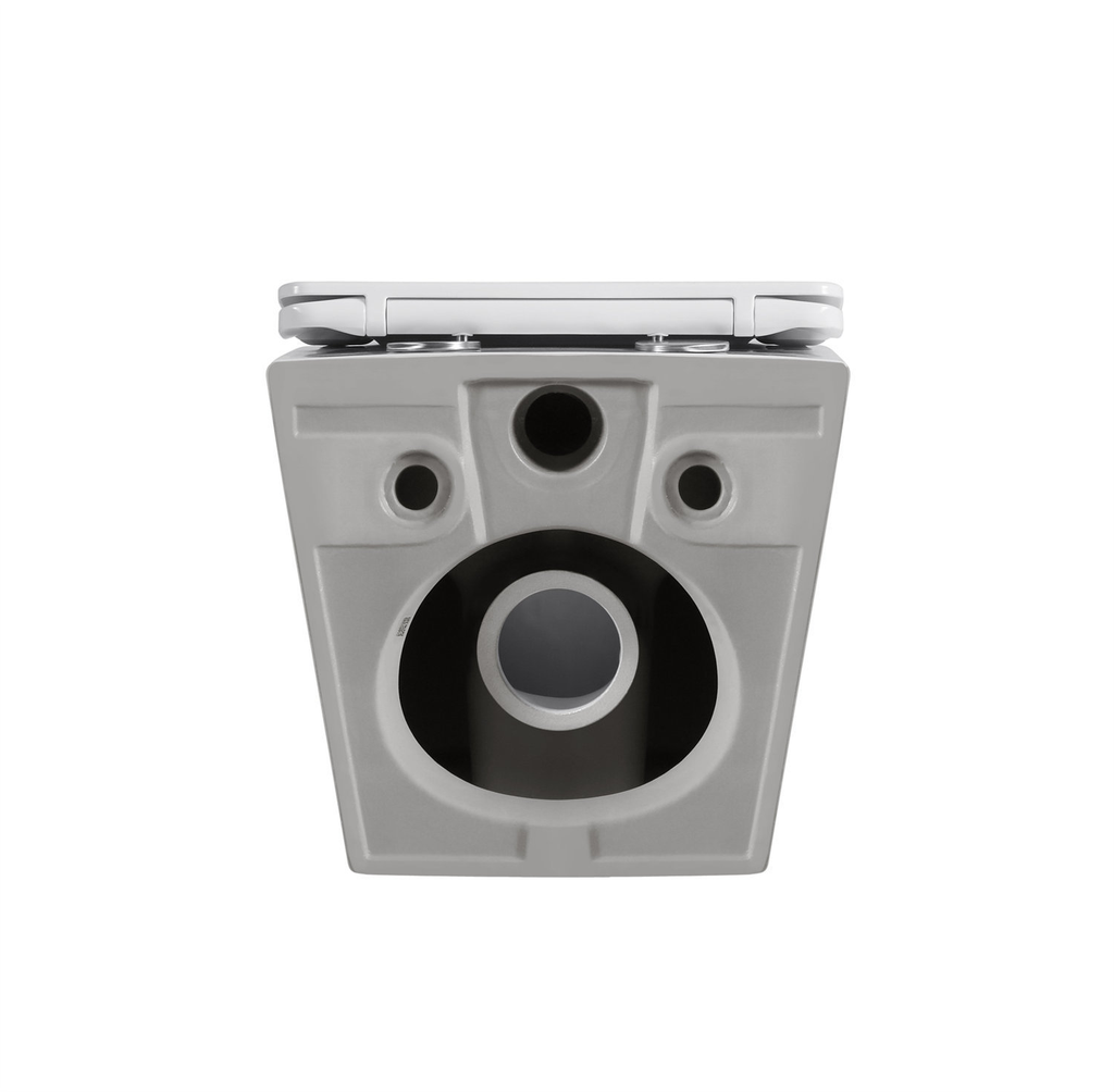 European Design Hidden Water Tank Wall Mounted Rimless Tornado Flush Ceramic Toilet