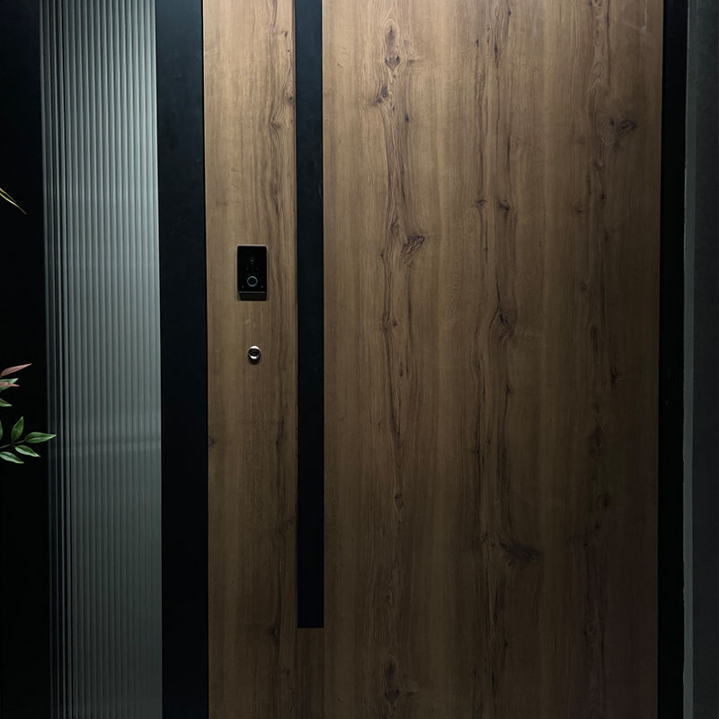 Latest Design Modern Classic Fireproof Front Entry Door Cast Aluminum Main Exterior Security Entrance Door