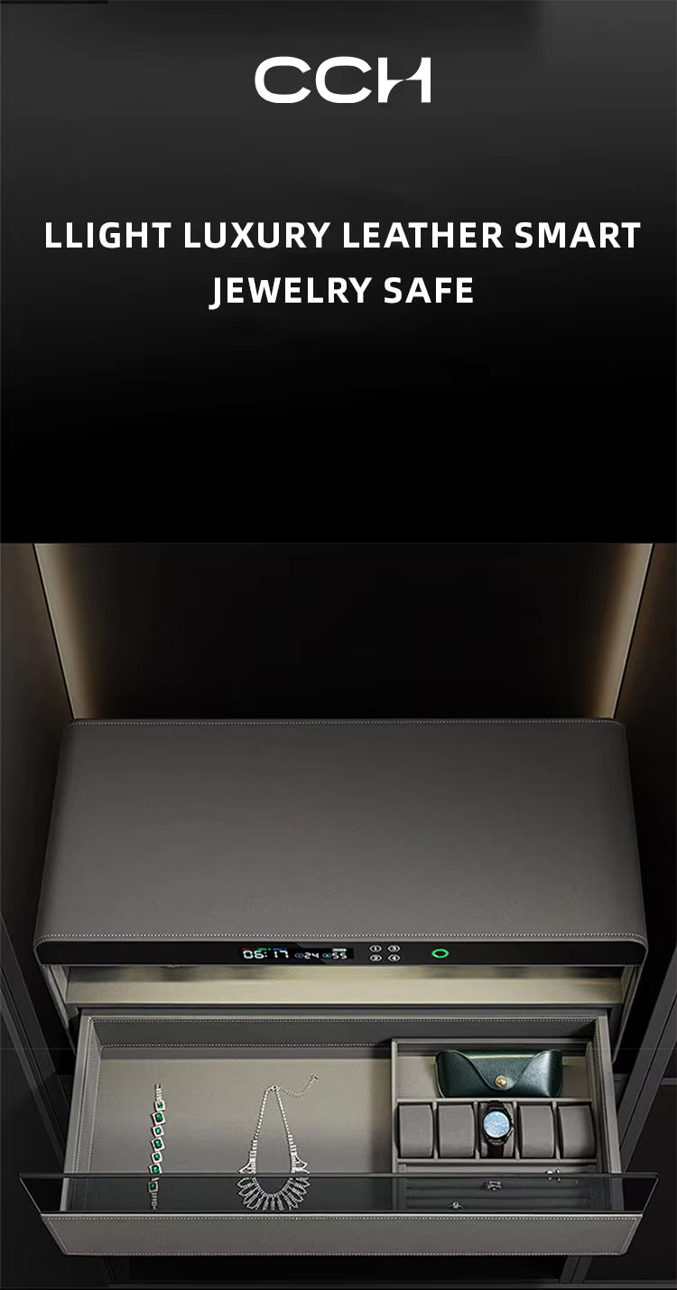 Watch Shaker Jewelery Box