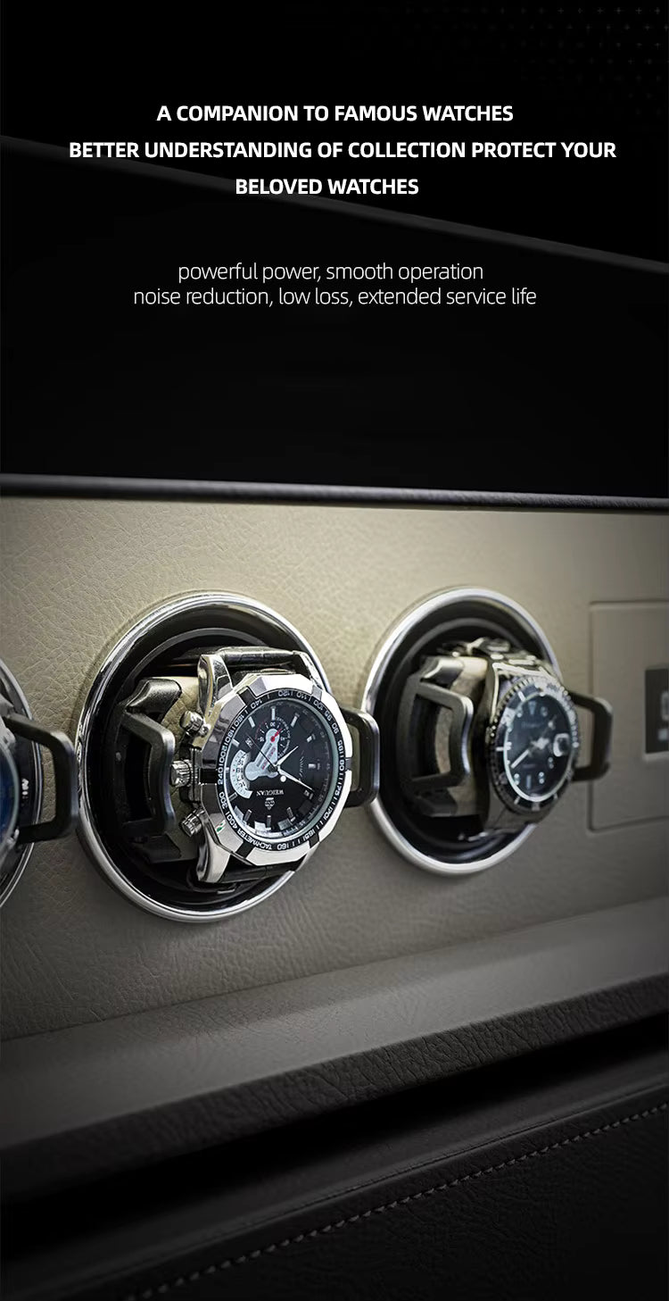 Watch Shaker Jewelery Box